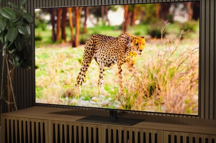 LG G4 OLED TV overview: OLED goes off the charts in 2024