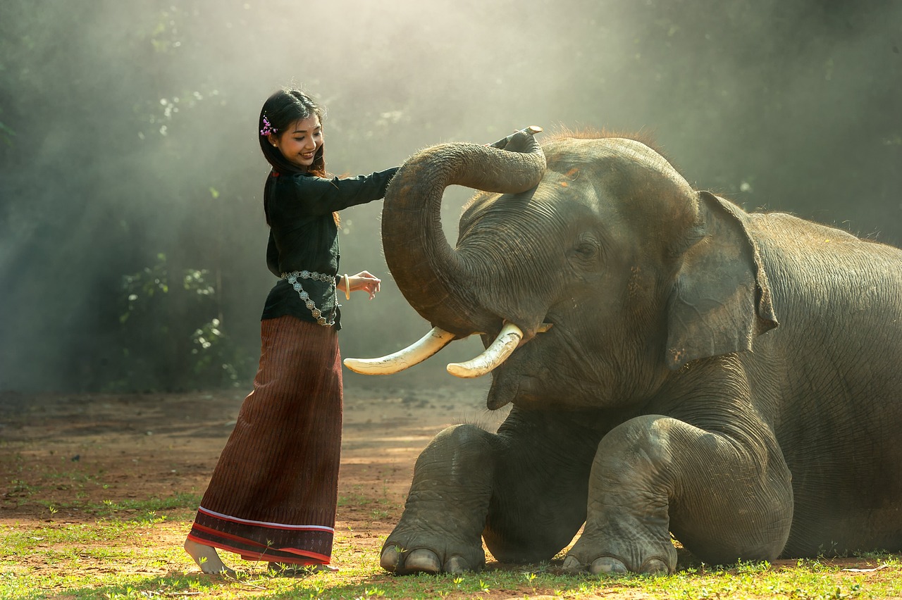 I slonovi se pozdravljaju, kao i ljudi…