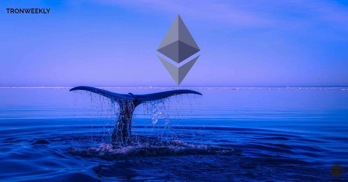 Ethereum Whales Job Surges: Will ETH Destroy $4,000 or Topple Below $3,650? Analyst Insight